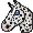 (16) Burrito [Black Leopard Appaloosa].png