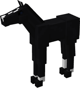 foal_black_0.png