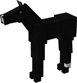 foal_black_1.png