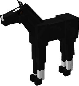 foal_black_2.png