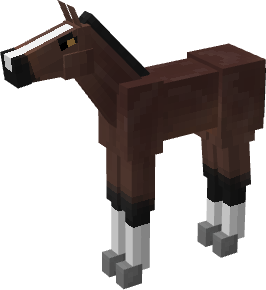 foal_dark_brown_1.png